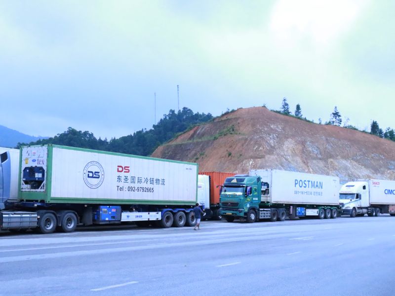 các loại thuế nhập khẩu